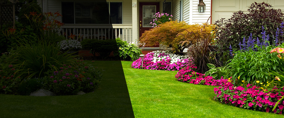 Plymouth Landscapers